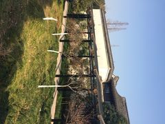 走马楼-走马楼饭庄(慈城古县城店)