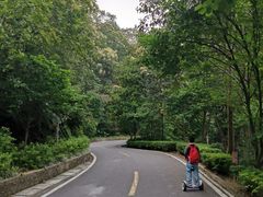 -广州市流溪河国家森林公园