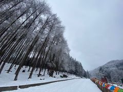-硗碛藏寨·神木垒景区