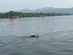 -西湖游船