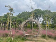 -嘉北郊野公园