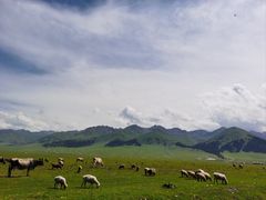 -新疆那拉提国家旅游度假区