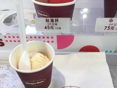 哈密瓜味-哈根达斯(天河城店)