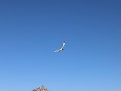 -青海湖二郎剑景区