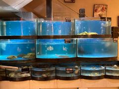 水产区-八闽饭店闽南小镇(铁西店)