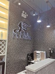 -丝语萱形象