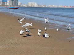 -金梦海湾浴场