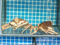 -潮香阁海鲜餐厅(较场尾店)
