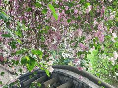 -深圳国际园林花卉博览园