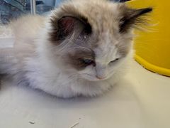 -邈墨茶馆(凤起路店)