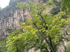 -秦岭终南山世界地质公园翠华山景区