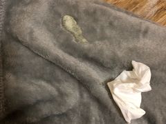 -北京观赏动物医院·24小时大型综合·猫专科·异宠专科