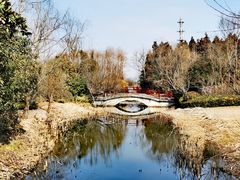 -东平国家森林公园