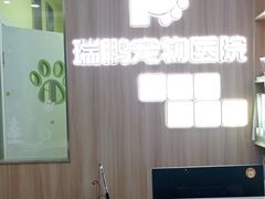 -瑞鹏宠物医院·宠保定点·心脏科·内科(御桥分院)