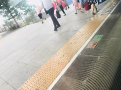 -蒲城东站