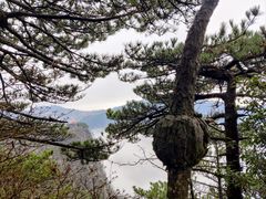 -庐山风景名胜区