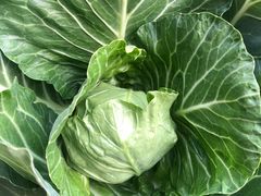 -万源龙顺度假庄园生态观光园