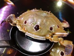 -长平老姿娘夜粥(平东一街店)