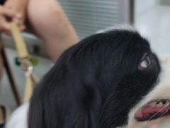 -心仪动物医院·牙专科·肿瘤·心脏科(西客站院)