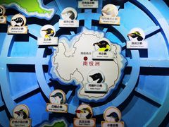 -海合安武汉极地海洋公园