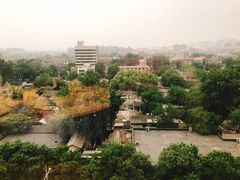 -同庆楼(金宝汇店)