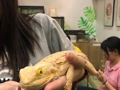 -藦茜花园宠物主题亲子互动体验馆(国顺东路店)