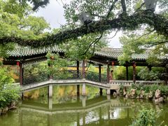 -江心屿景区
