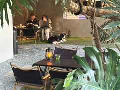 -J Create城市露营咖啡·简餐·宠物(上海动物园店)