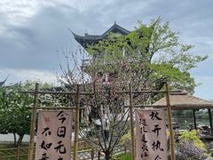 -无锡蠡湖国家湿地公园-蠡园