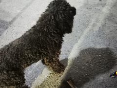 -霍元甲烧烤(江城商务大楼店)