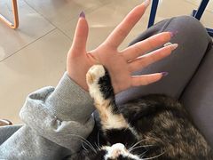 -平行世界·猫咖(首经贸店)