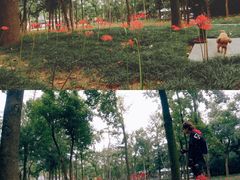 -钟山体育运动公园