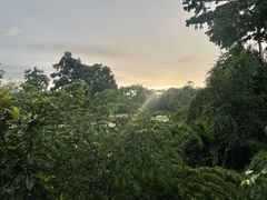 -傣泐金湾餐厅