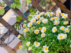 -Rabbit Cafe私房西餐甜点咖啡(栖霞路店)