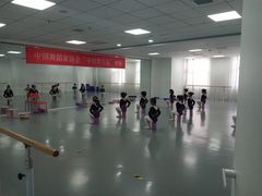 -西安小天鹅艺术团(金花路校区)