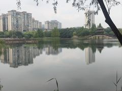 -洋湖国家湿地公园