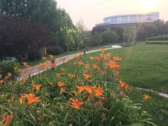 -北京国家会计学院