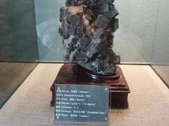 -房山世界地质公园博物馆