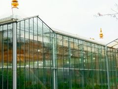餐厅正门道路-上海鲜花港