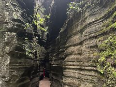 -梭布垭石林景区