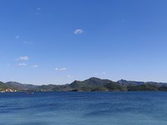 -望湖烤鱼
