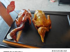 -羽鸽集·乳鸽专门店·地道顺德菜(岭南站店)