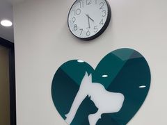 -瑞派康怡24h宠物医院·犬猫医疗中心·微创绝育(瑞景分院)