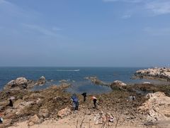 -养马岛旅游度假区