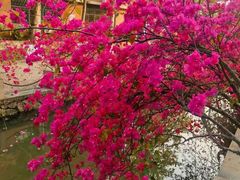 -广东外语外贸大学(白云山校区)