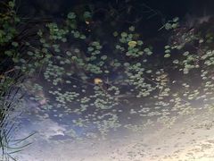 -中关村生命科学园