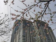 -西北湖绿化广场