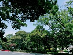 -八大关景区