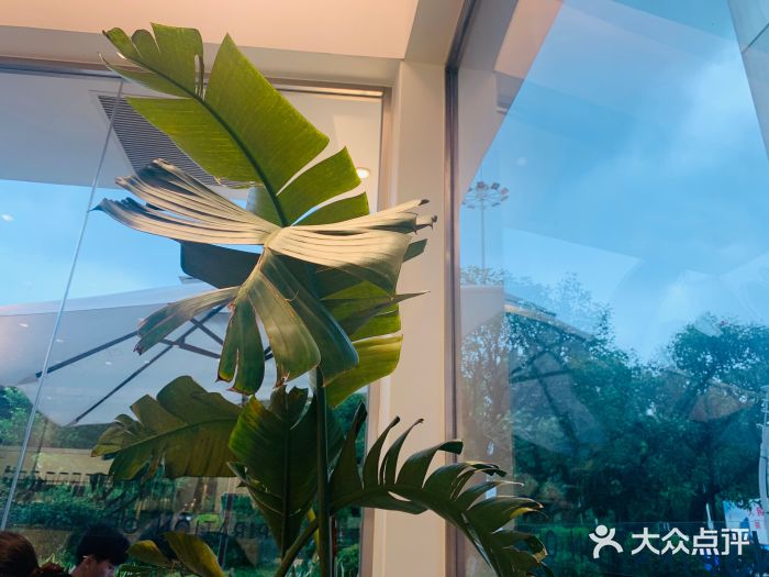 喜茶(广州番禺奥园广场店)图片