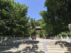 -潭柘寺景区